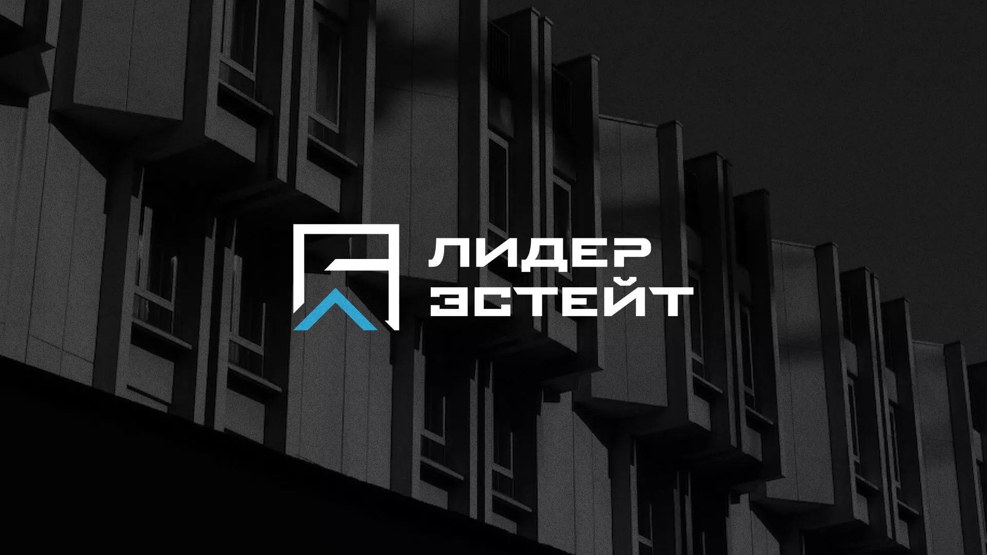 Разработка логотипа агентства недвижимости «Лидер Эстейт» в Кизилюрте